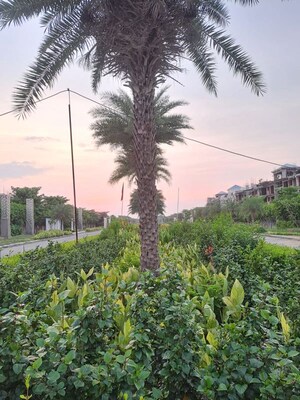  Plot – Garden View at Omaxe City, Omaxe City - for Sale