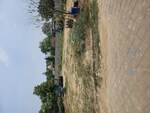 250 Sq.Yd. Plot in BPTP Amstoria