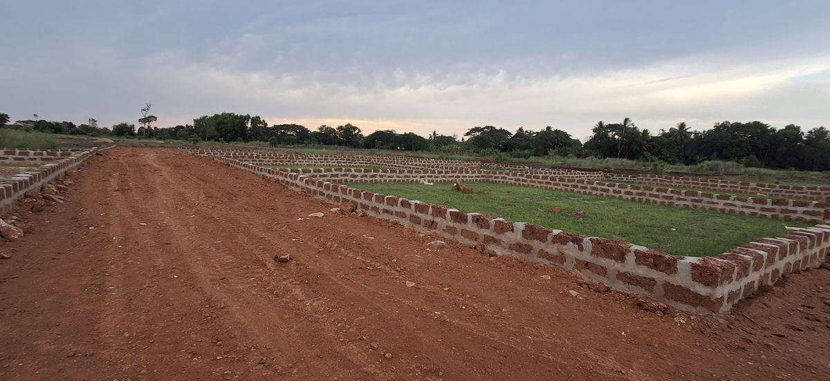 Plot For Sale in Pipili