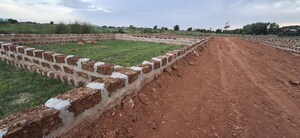 Plot Area in  Plot at Pipili – for Sale