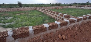 Plot Area in  Plot at Pipili – for Sale