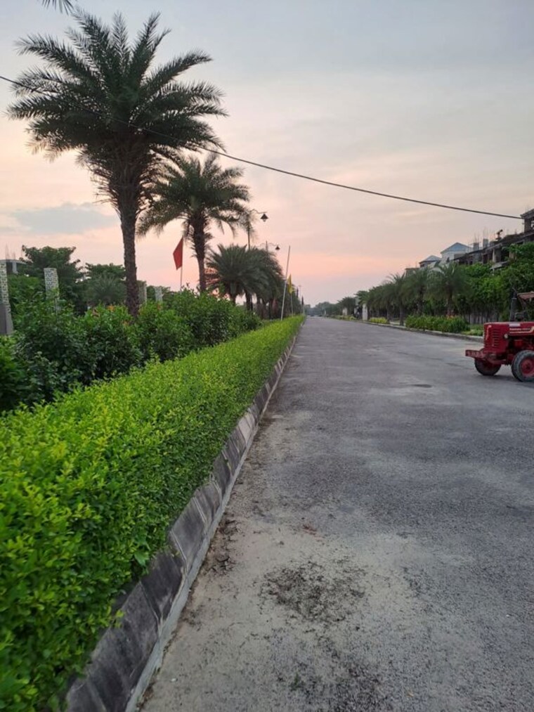 Garden, chak kajehra  18000 Sq.Ft. Plot In Chak Kajehra Lucknow 10366840