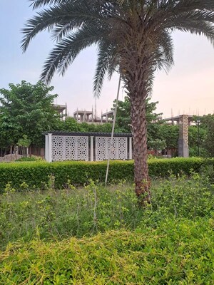  Plot – Exterior View View at Chak Kajehra - for Sale