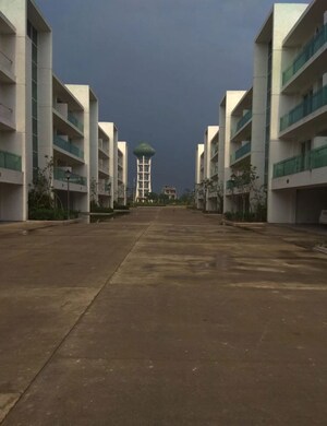 3 BHK Builder Floor – Exterior View View at Omaxe Ambrosia, North Mullanpur - for Sale