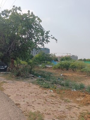  Plot For Sale in Sector 1 Wave City