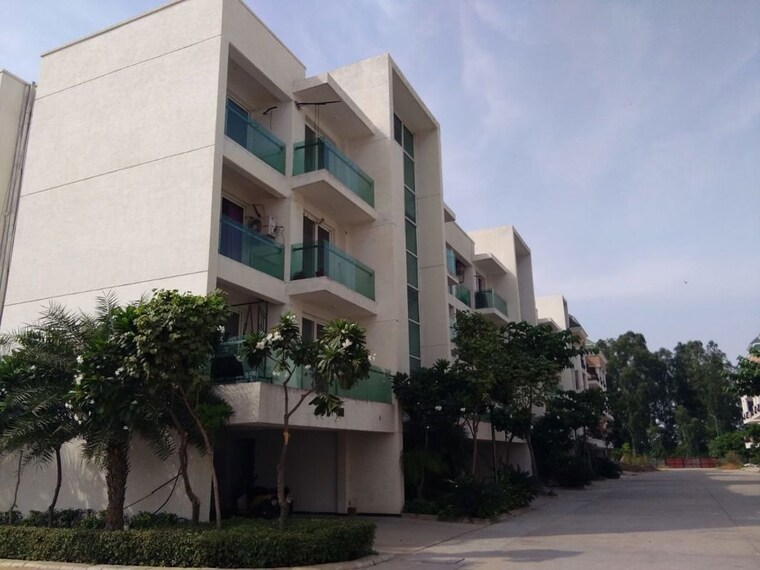 Exterior View, omaxe-ambrosia 3 Bedroom 1560 Sq.Ft. Builder Floor In North Mullanpur Chandigarh 10367179