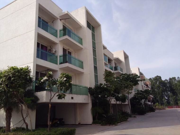 Exterior View, omaxe-ambrosia 3 Bedroom 1560 Sq.Ft. Builder Floor In North Mullanpur Chandigarh 10367179