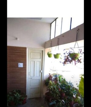 1 BHK Builder Floor For Rent in Sector 37