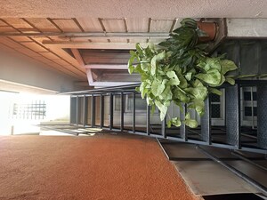 Studio Independent House – Exterior View View at High Grounds - for Rent