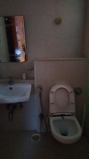 Bathroom in 4 BHK Apartment at Amanora Aspire Towerss, Hadapsar – for Rent
