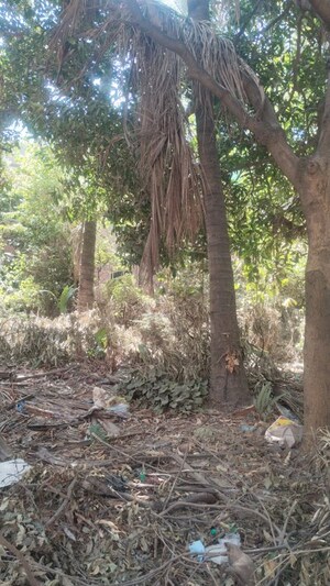 Plot Area in  Villa at Mangammanapalya – for Sale
