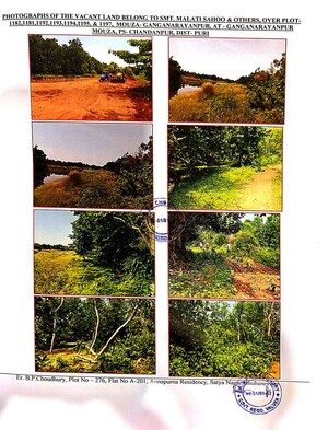  Plot For Sale in Gangapada