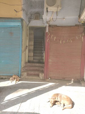  Apartment – Exterior View View at Saket Nagar - for Sale