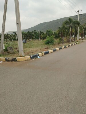 Plot Area in  Land at Atchutapuram – for Sale
