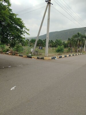 Plot Area in  Land at Atchutapuram – for Sale