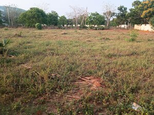 Plot Area in  Land at Atchutapuram – for Sale