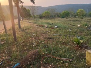 Plot Area in  Land at Atchutapuram – for Sale