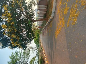   Land at Atchutapuram – for Sale
