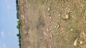 Plot Area in  Plot at JB Serene City, Ibrahimpatnam – for Sale