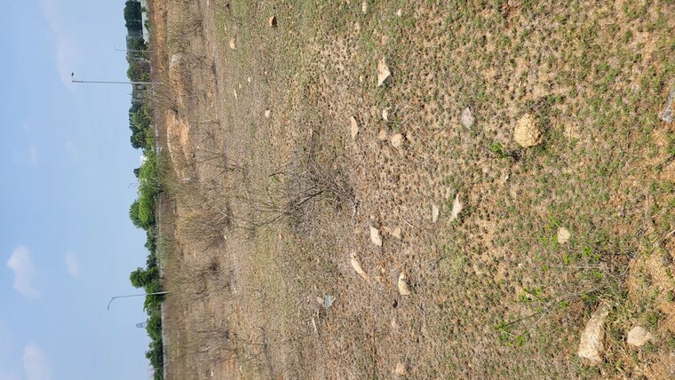 undefined, jb-serene-city  300 Sq.Yd. Plot In Ibrahimpatnam Hyderabad 10361126