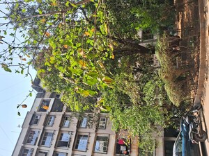  Apartment – Exterior View View at Belavali - for Sale