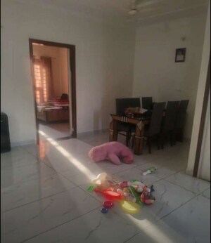 3 BHK Builder Floor For Rent in Altus Abney Square, Sector 20