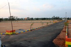 Plot For Sale in Sector 76