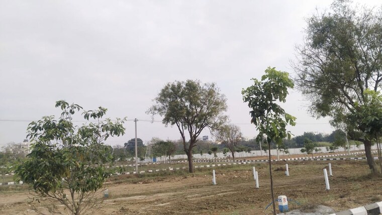 undefined, kandukur  200 Sq.Yd. Plot In Kandukur Hyderabad 10370096