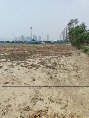 Plot Area in  Plot at Sector 150 – for Sale