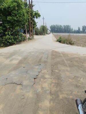 Plot Area in  Plot at Sector 150 – for Sale