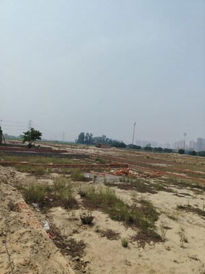 Plot Area in  Plot at Sector 150 – for Sale