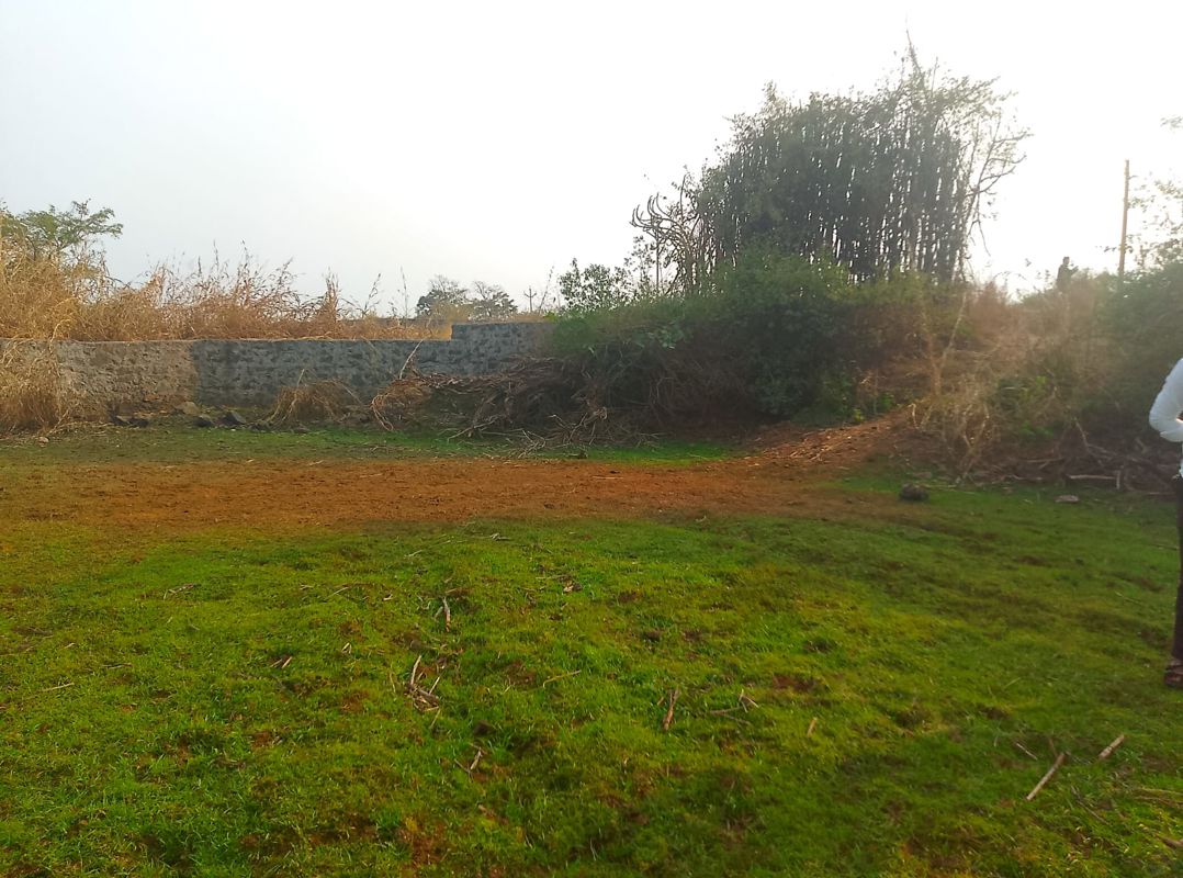 Plot For Sale in Dronagiri