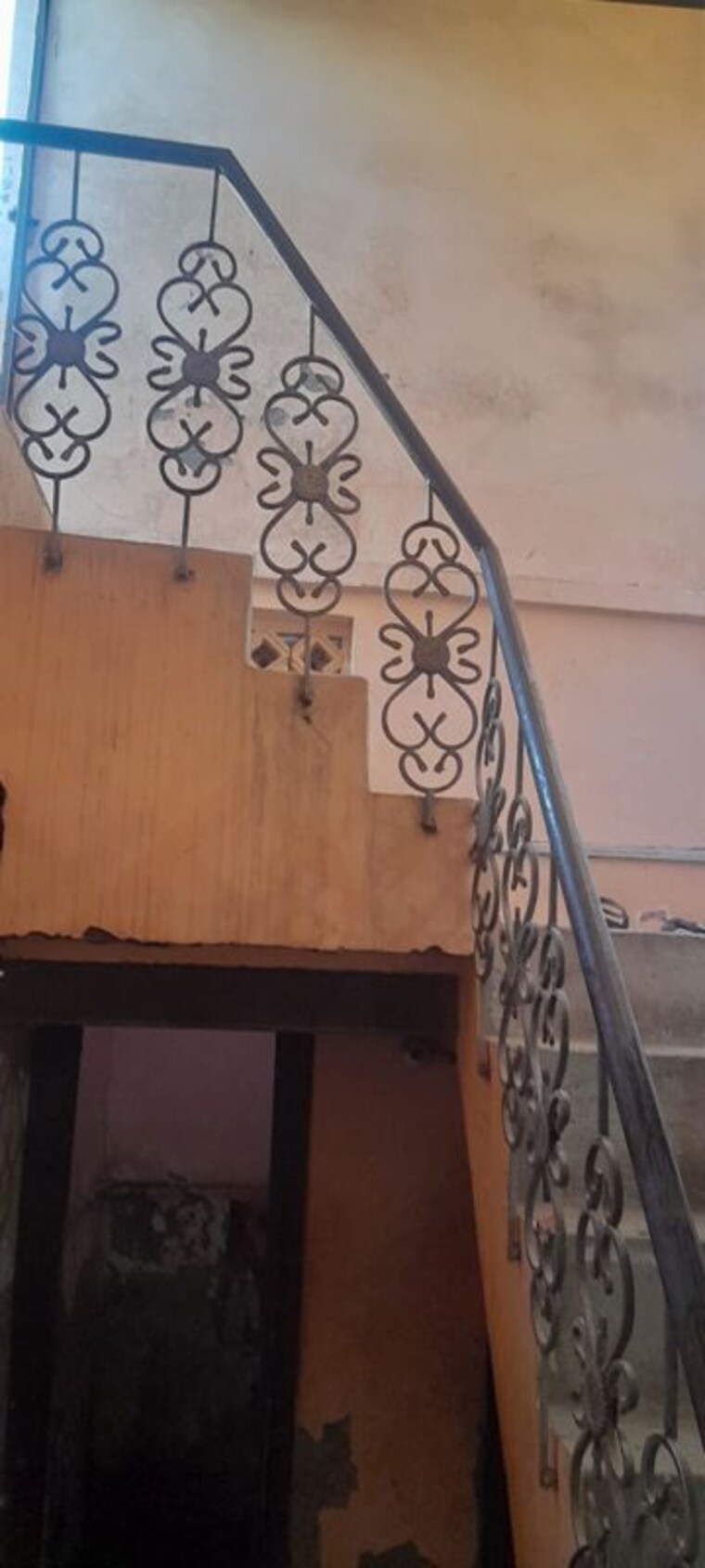 Terrace, new industrial township 3 Bedroom 675 Sq.Ft. Independent House In New Industrial Township Faridabad 10353518