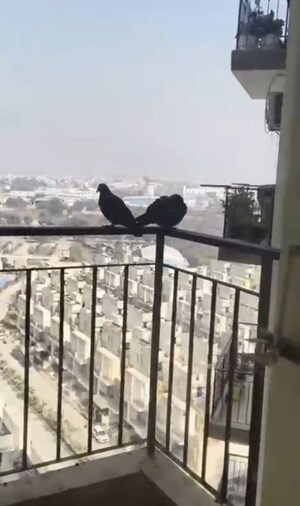 Balcony in 2 BHK Apartment at Amrapali Enchante, Tech Zone 4 Greater Noida – for Sale