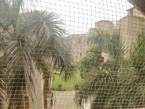 3 BHK Apartment – Exterior View View at Mewala Maharajpur - for Rent