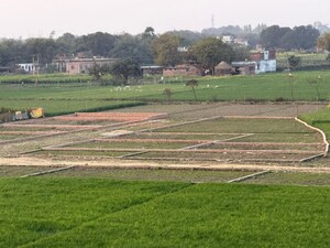 Plot Area in  Plot at Gangapur – for Sale