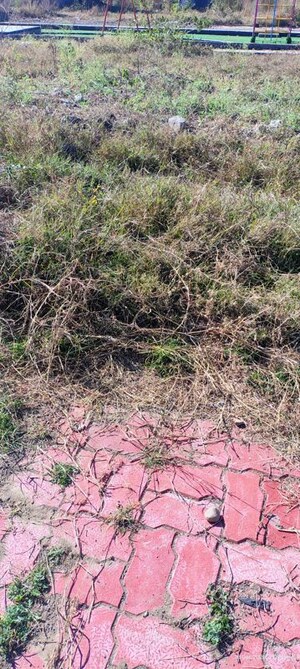 Plot Area in  Plot at Silicon City – for Sale