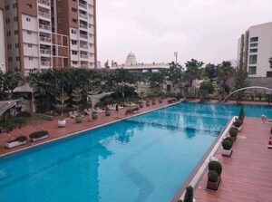 Swimming Pool in 3 BHK Apartment at My Home Avatar, Gachibowli – for Rent