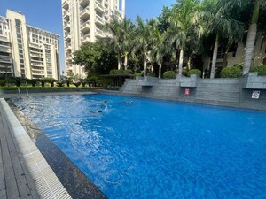 Swimming Pool in 4 BHK Apartment at SS Hibiscus, Sector 50 – for Rent