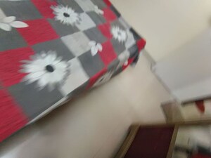 Master Plan in 1 BHK Apartment at Worli – for Rent