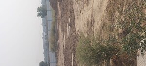  Plot For Sale in Pachgain Khera