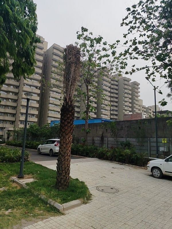 3 BHK 1500 Sq.Ft. Apartment in Conscient Habitat Prime