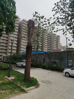 3 BHK Apartment For Rent in Conscient Habitat Prime, Sector 99a