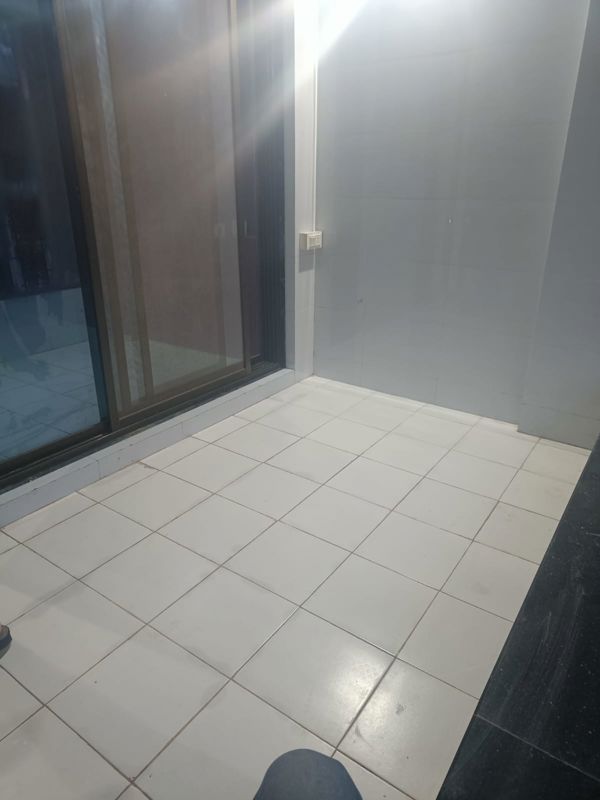 2 BHK Apartment For Rent in Maitri Icon