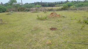 Plot Area in  Plot at Auto Nagar – for Sale