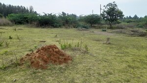 Plot Area in  Plot at Auto Nagar – for Sale