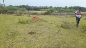 Plot Area in  Plot at Auto Nagar – for Sale