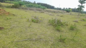  Plot For Sale in Auto Nagar