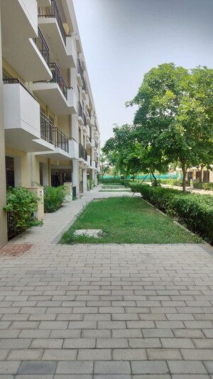 2.5 BHK Builder Floor – Exterior View View at Vatika Xpressions, Sector 88b - for Rent