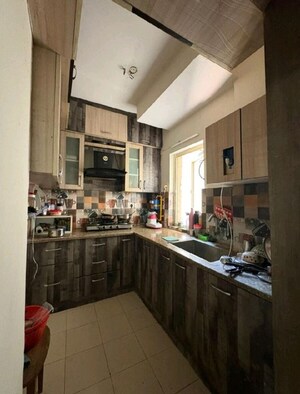 Kitchen in 2 BHK Apartment at Nimbus Express Park View, Chi V Greater Noida – for Rent